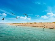 Fishing trip in the Red Sea