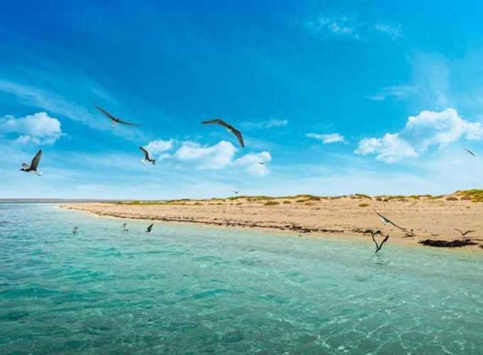 Fishing trip in the Red Sea